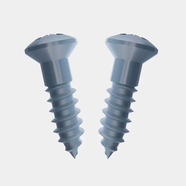 Raised Head Chrome Screws